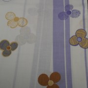 SAM_4404 (2)